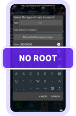 no root